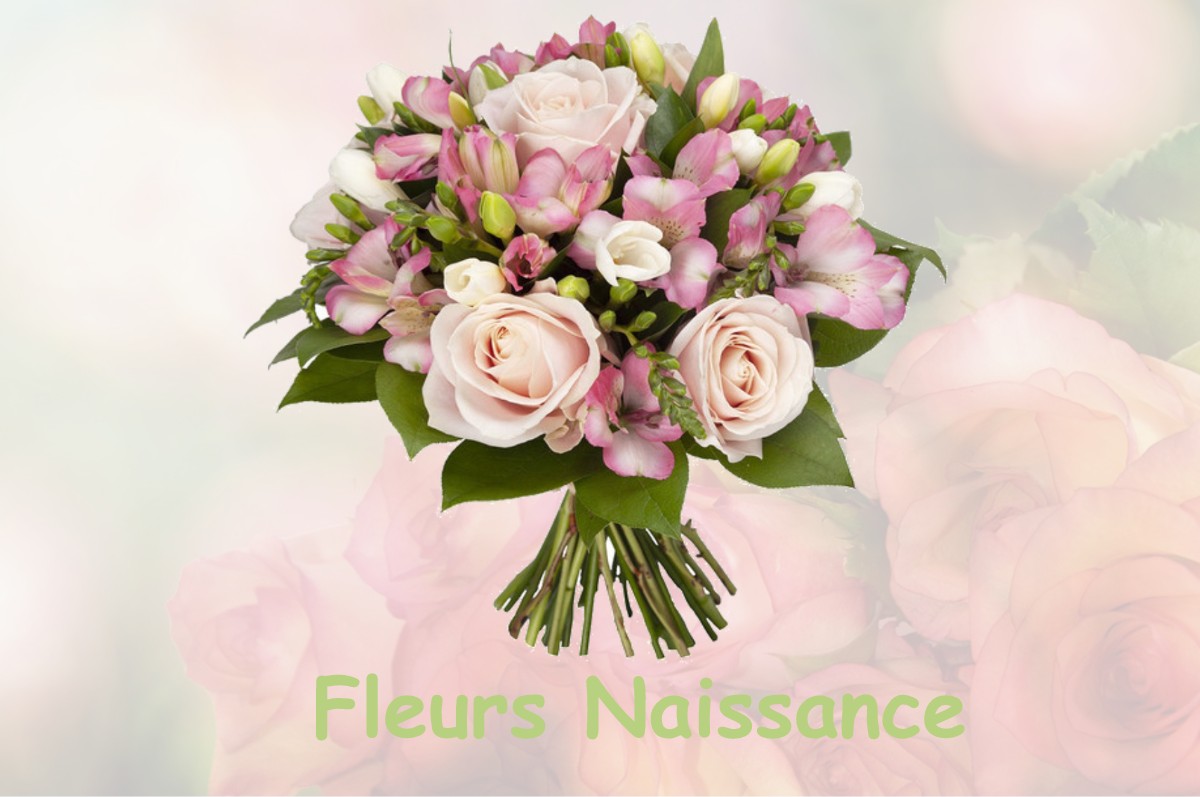 fleurs naissance BAIGTS