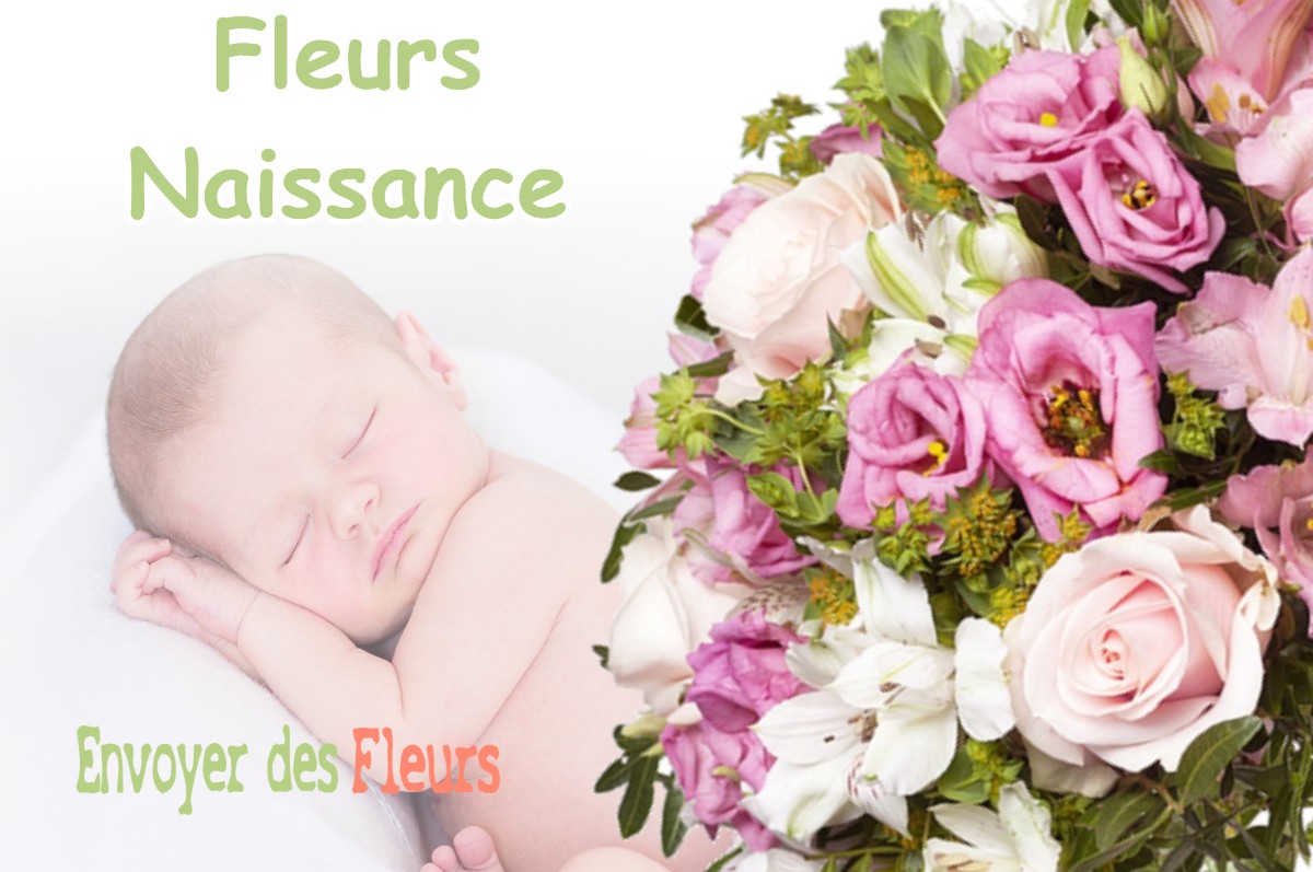 lIVRAISON FLEURS NAISSANCE à BAIGTS